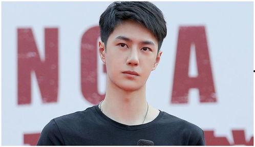 吃瓜娛樂圈王一博是誰,娛樂圈的璀璨新星