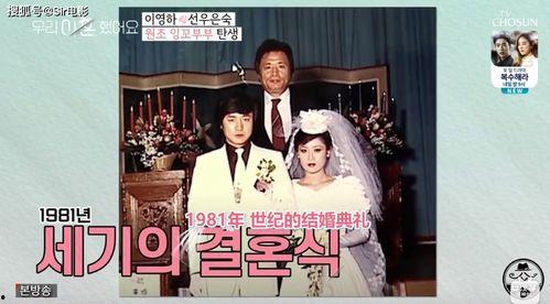 娛樂圈吃瓜小說綜藝文,瓜田里的甜蜜陷阱