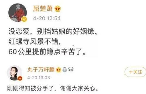 娛樂圈吃瓜爆料兩個字,揭秘明星背后的故事